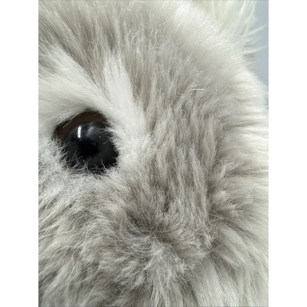 Miyoni Aurora Koala Australia Plush 9